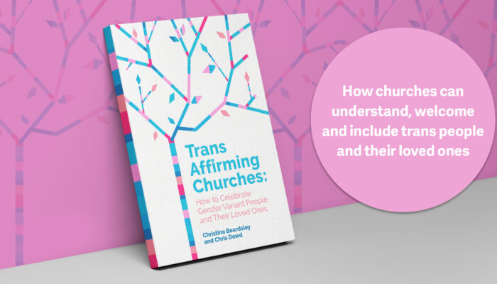 Book cover for Trans Affirming Churches